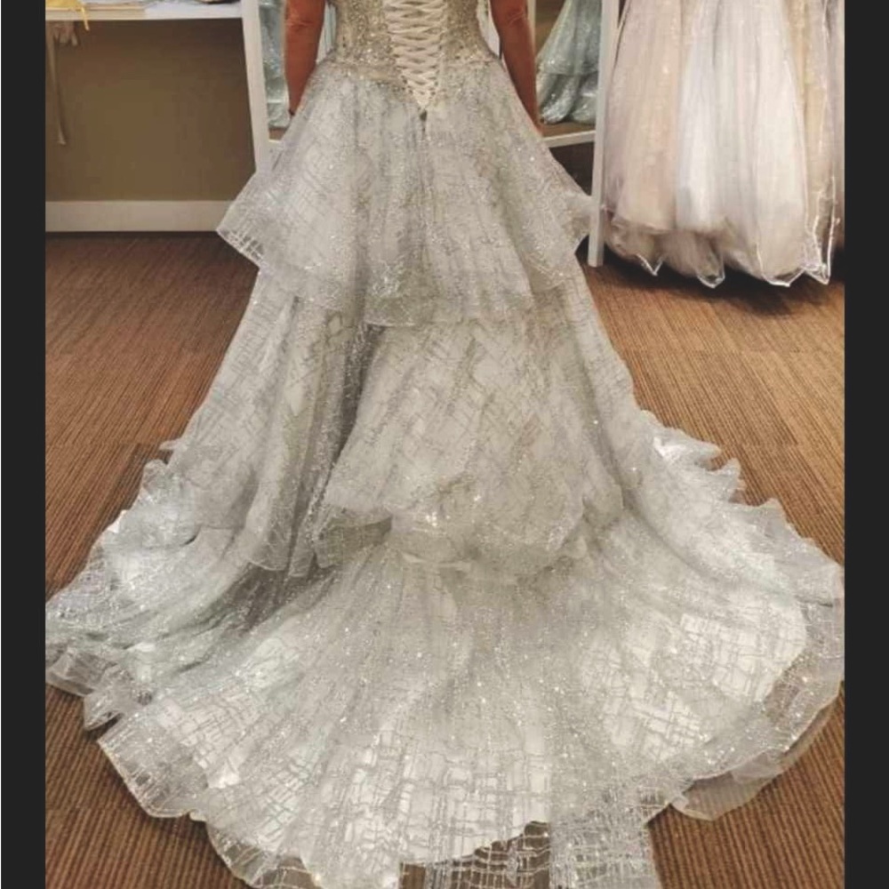 Elegant Silver Layered Gown